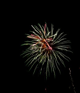 Fireworks 07-30-2011 053