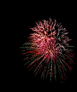 Fireworks 07-30-2011 060