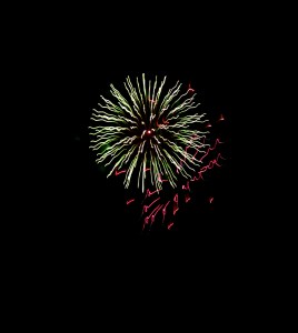 Fireworks 07-30-2011 064