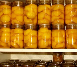 Canned Peaches