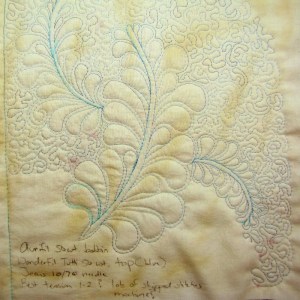  FMQ First Feather Front