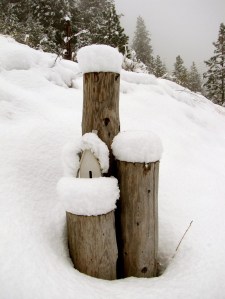 IMG_2539 Butterfly House