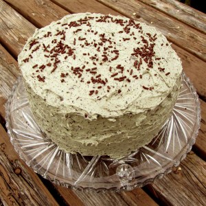 Mint Chocolate Chip Cake