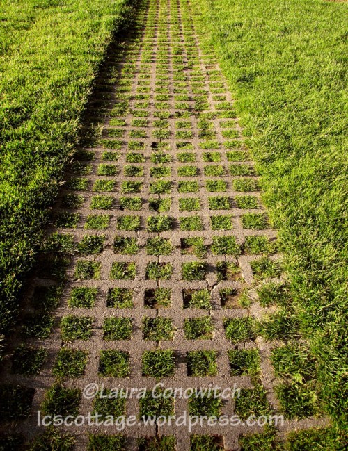 IMG_3572b Manito 6-15-2012 IMG_3572bc