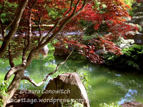 Manito 06-15-2012 008bc