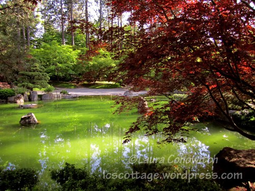 Manito 06-15-2012 009bc