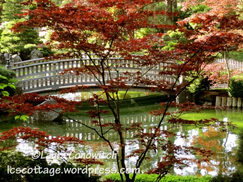 Manito 06-15-2012 028bc