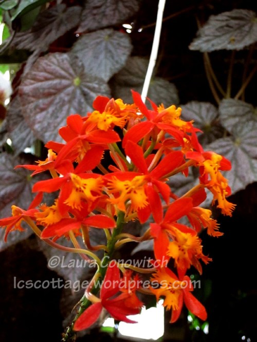 Manito 06-15-2012 081bc