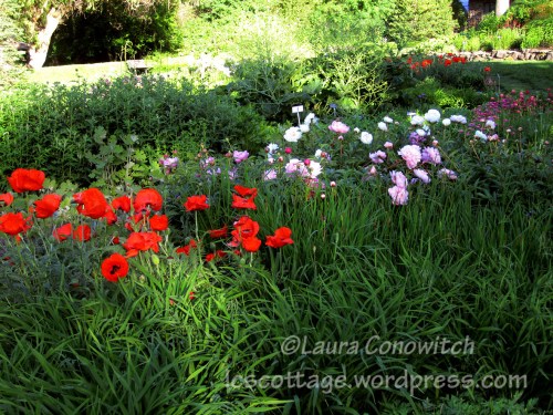 Manito 06-15-2012 094bc