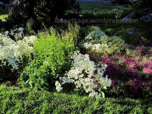 Manito 06-15-2012 101bc