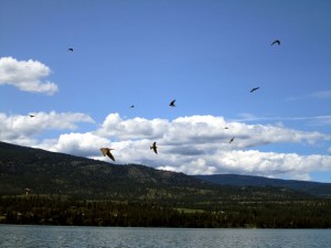 07-04-2012 Columbia River & Canoe 025b