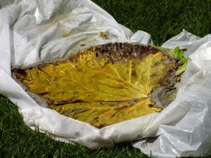 Concrete 07-11-2012 006b