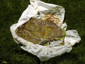 Concrete 07-11-2012 008b