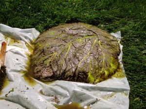 Concrete 07-11-2012 009b