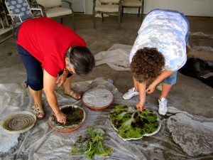 Concrete 07-11-2012 013b