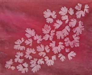 Hand Painted Fabric Columbine Sunprint