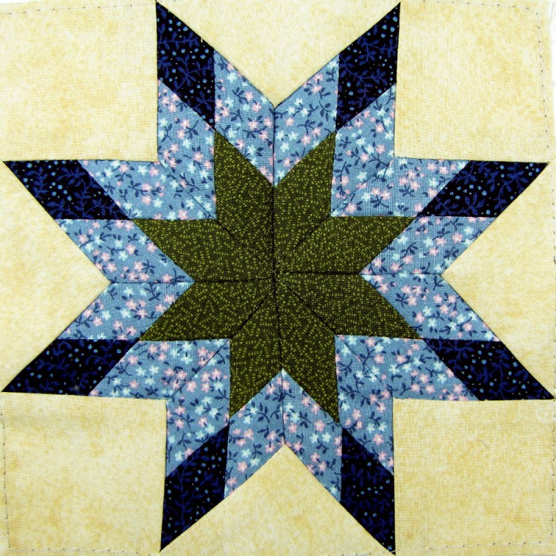 WSQ Raffle Quilt 2012 Blazing Star