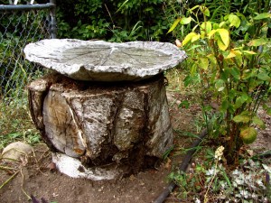 Rhubarb Birdbath