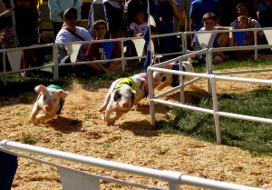 Spokane Interstate Fair
