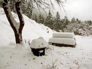 Winter 2012
