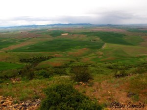 Steptoe Butte 