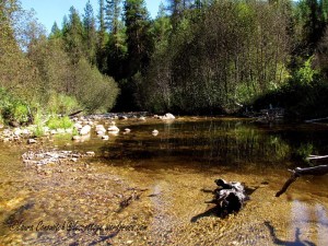 Log Flume Heritage Site