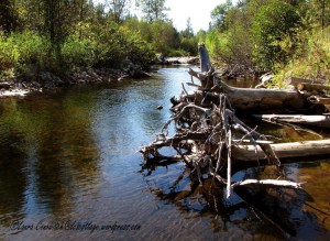Log Flume Heritage Site