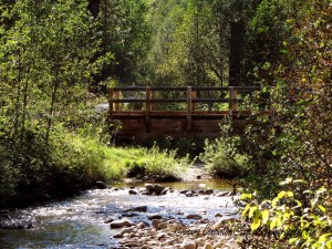 Log Flume Heritage Site