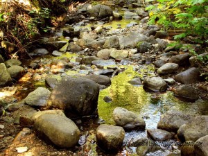 Log Flume Heritage Site
