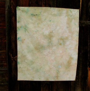 Blue-GreenOrangeWisteriaSnowDye