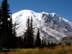 Mt. Rainier