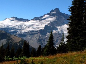Mt. Rainier