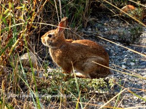 Fort Worden State Park