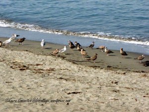 Fort Worden State Park