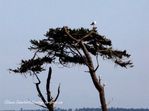 Fort Worden State Park