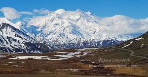 Denali Park