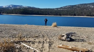 Kettle Falls Campground