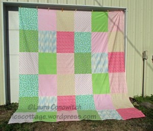 Alyssa's Quilt Backing