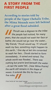 Mima Mounds July 2018