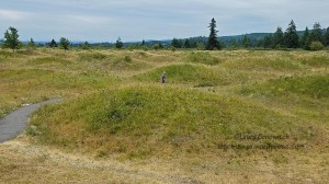 Mima Mounds July 2018