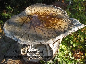 Rhubarb Bird Bath