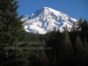Mt. Rainier