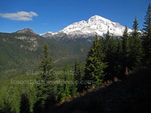 Mt. Rainier