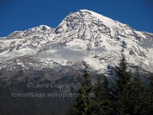 Mt. Rainier