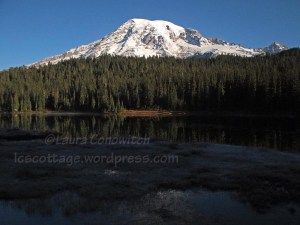 Mt. Rainier