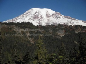 Mt. Rainier