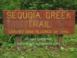 Sequoia Creek Trail