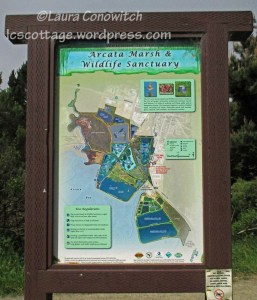 Arcata Marsh & Wildlife Sanctuary