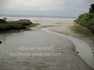 Arcata Marsh & Wildlife Sanctuary