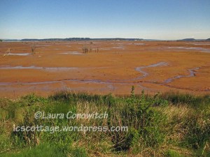 Nisqually Wildlife Refuge